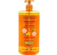Evoluderm - Precious Oil Enhancing Shampoo - 1000ml - إيفولوديرم - شامبو معزز للزيوت الثمينة - 1000 مل
